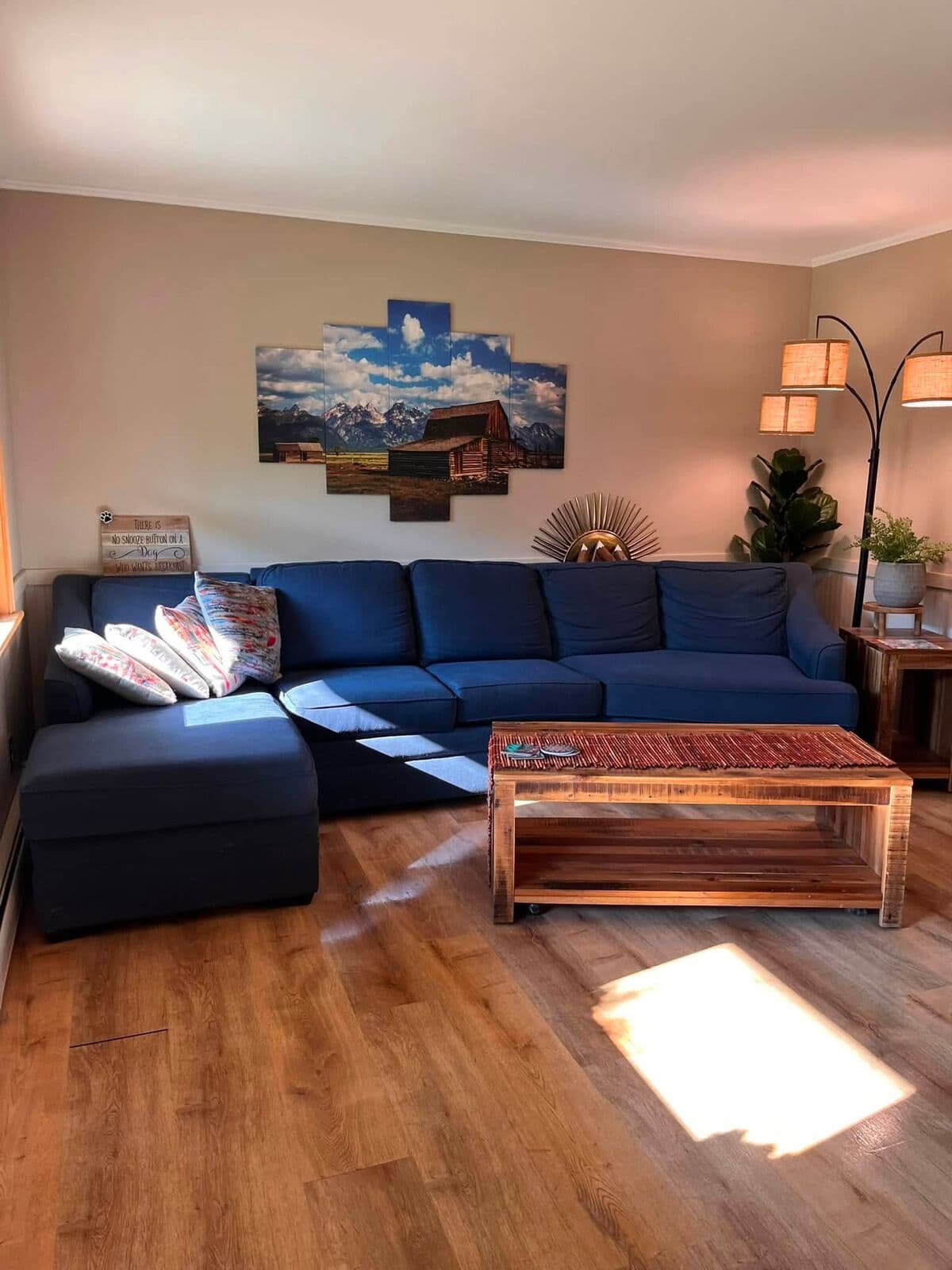 Tidy living room with a blue sectional